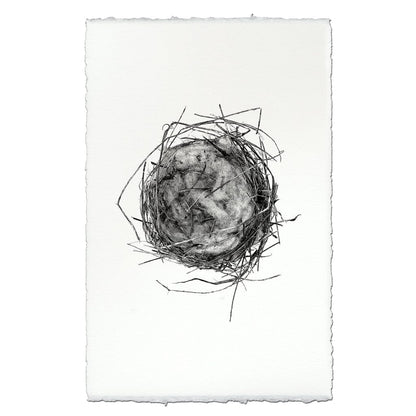 BARLOGA STUDIOS- fine photographs on intriguing papers nest Nest Study #7