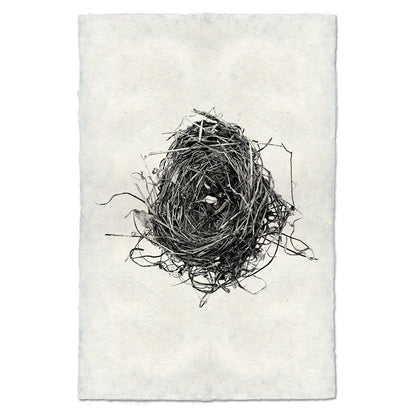 BARLOGA STUDIOS- fine photographs on intriguing papers nest Nest Study #8