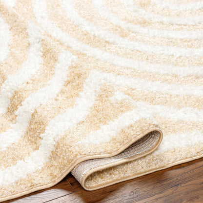 Arnel Beige Area Rug.