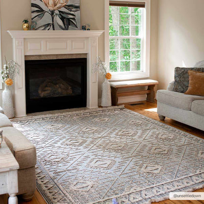 Boutique Rugs Rugs Agoo Area Rug