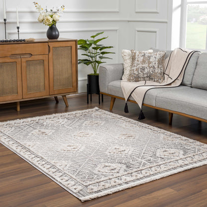 Boutique Rugs Rugs Agoo Area Rug