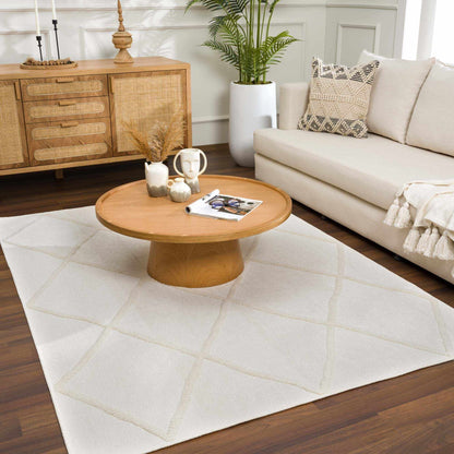 Boutique Rugs Rugs Amani White Washable Area Rug