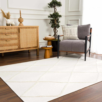 Boutique Rugs Rugs Amani White Washable Area Rug