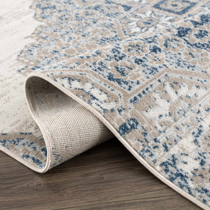 Boutique Rugs Rugs Amir Area Rug