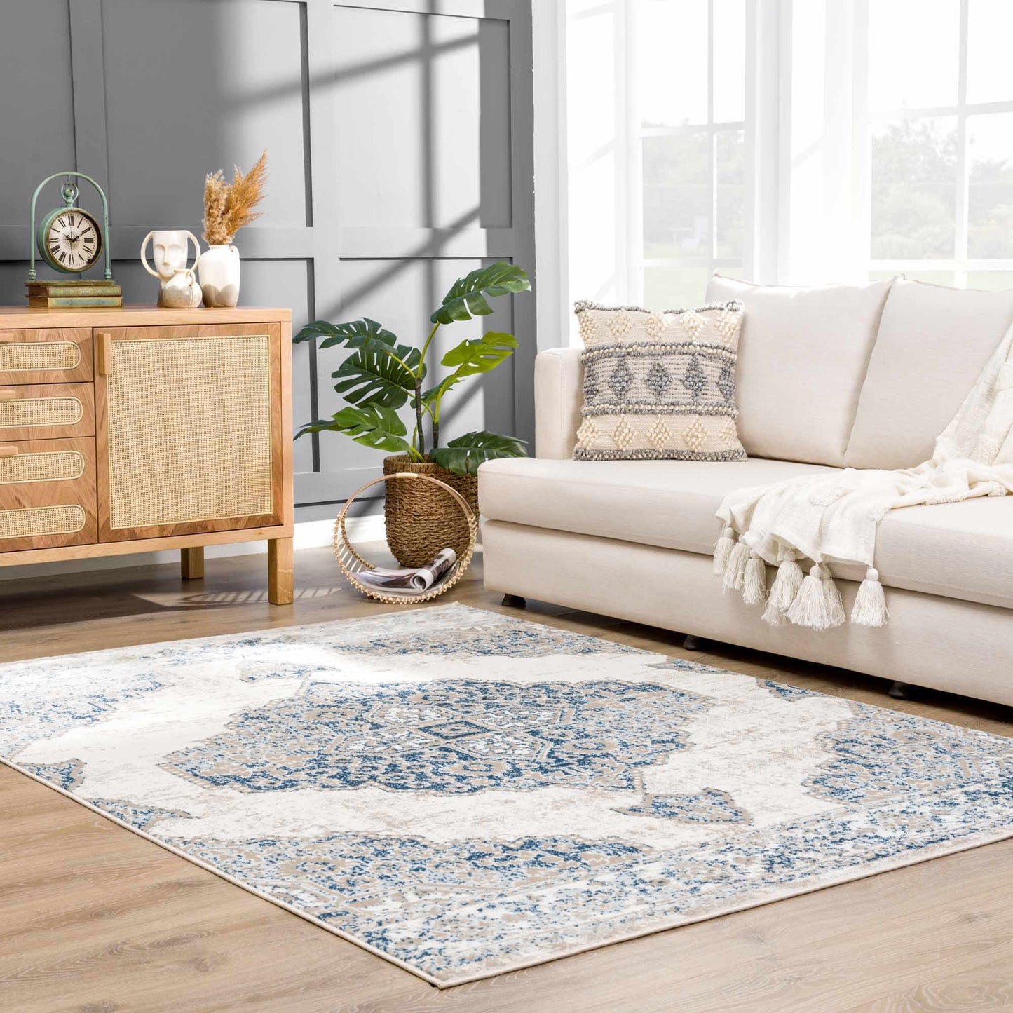 Boutique Rugs Rugs Amir Area Rug