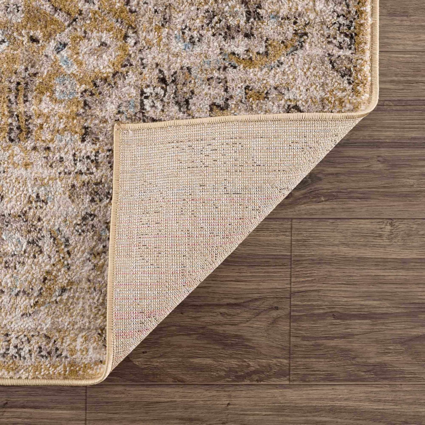 Boutique Rugs Rugs Anana Gold & Beige Area Rug