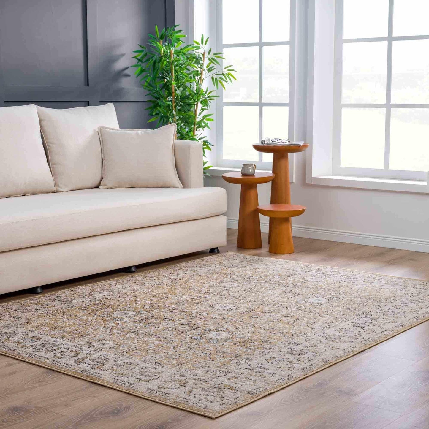 Boutique Rugs Rugs Anana Gold & Beige Area Rug