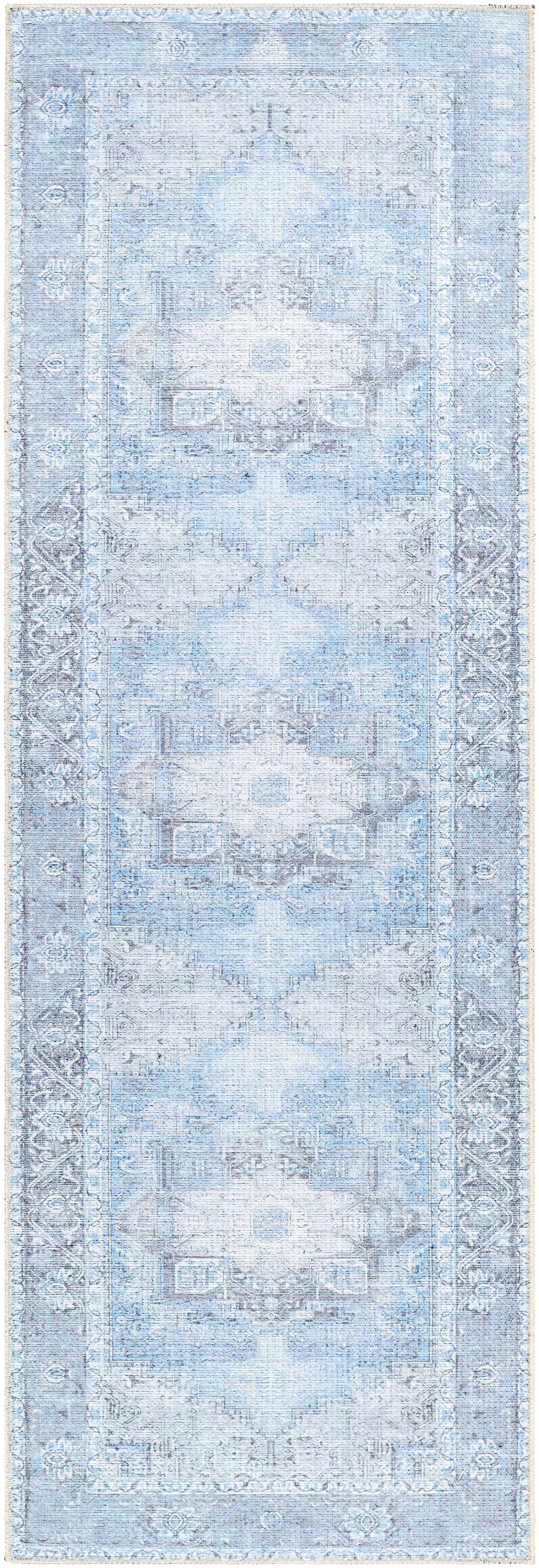 Boutique Rugs Rugs Aqua Rosman Washable Area Rug