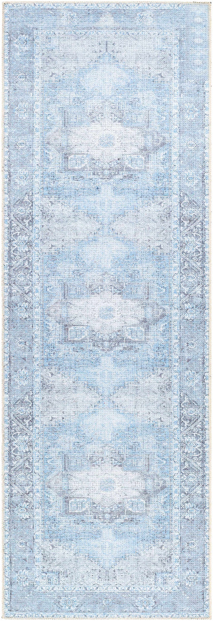 Boutique Rugs Rugs Aqua Rosman Washable Area Rug