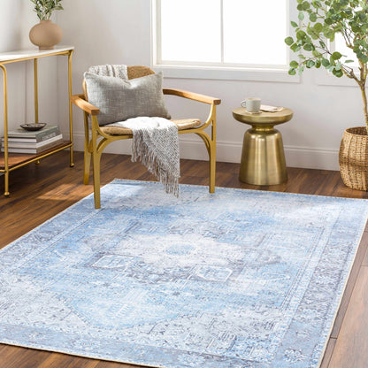 Boutique Rugs Rugs Aqua Rosman Washable Area Rug