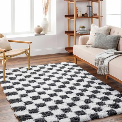 Boutique Rugs Rugs Atira Black & White Checkered Area Rug