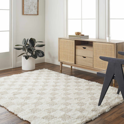 Boutique Rugs Rugs Atira Light Brown Checkered Area Rug