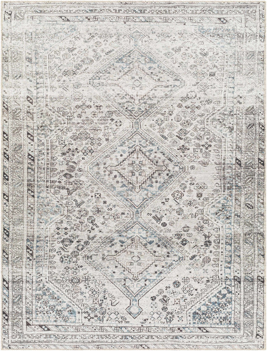 Boutique Rugs Rugs Barny Gray Washable Area Rug