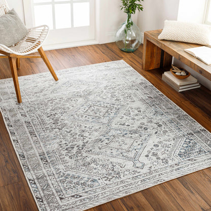 Boutique Rugs Rugs Barny Gray Washable Area Rug