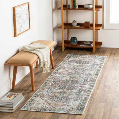 Boutique Rugs Rugs Blue Catigpian Distressed Washable Area Rug