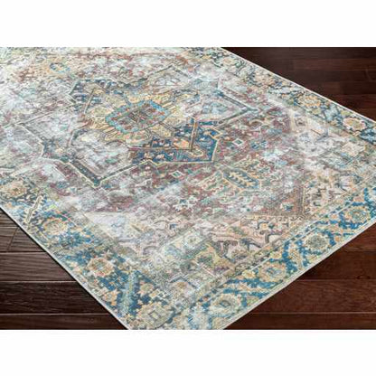 Boutique Rugs Rugs Blue Catigpian Distressed Washable Area Rug