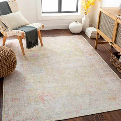 Boutique Rugs Rugs Bozkurt Distressed Washable Rug