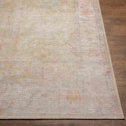 Boutique Rugs Rugs Bozkurt Distressed Washable Rug