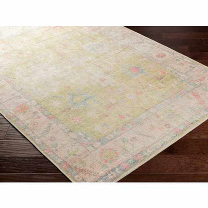 Boutique Rugs Rugs Bozkurt Distressed Washable Rug