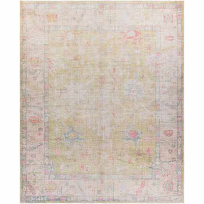 Boutique Rugs Rugs Bozkurt Distressed Washable Rug