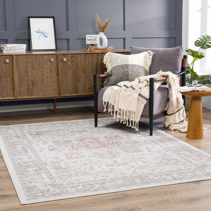 Boutique Rugs Rugs Damla Area Rug