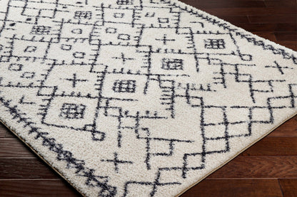 Boutique Rugs Rugs Elyes Beige Washable Area Rug