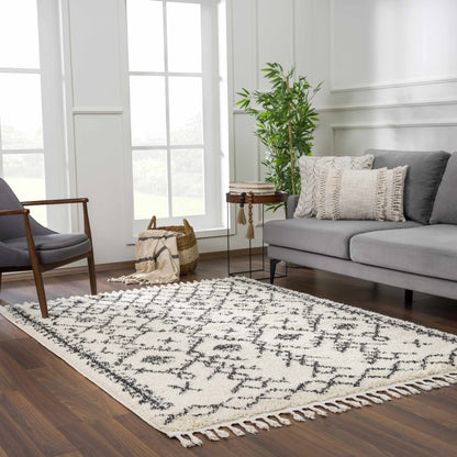 Boutique Rugs Rugs Godalming Plush Area Rug