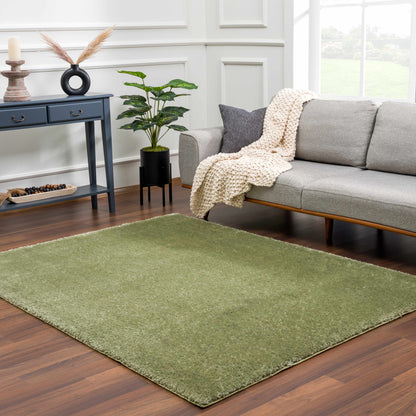 Boutique Rugs Rugs Heavenly Solid Green Plush Rug