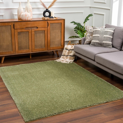 Boutique Rugs Rugs Heavenly Solid Green Plush Rug