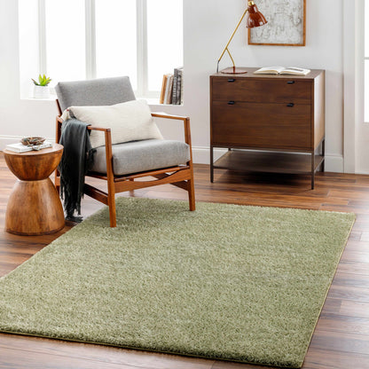 Boutique Rugs Rugs Heavenly Solid Green Plush Rug