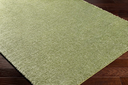 Boutique Rugs Rugs Heavenly Solid Green Plush Rug