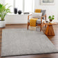 Boutique Rugs Rugs Judy Light Gray Washable Area Rug