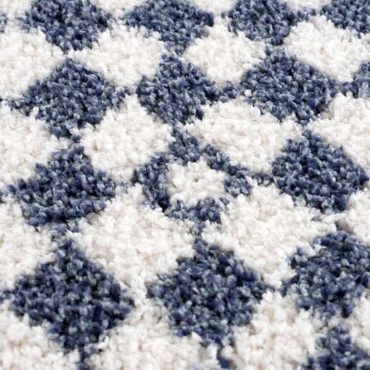 Boutique Rugs Rugs Kieu Blue & White Checkered Area Rug