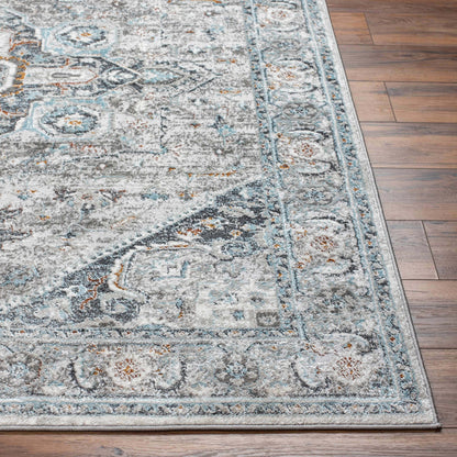 Boutique Rugs Rugs Liverpool Gray & Blue Area Rug