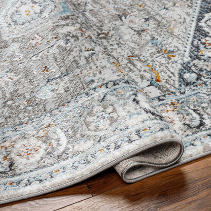 Boutique Rugs Rugs Liverpool Gray & Blue Area Rug