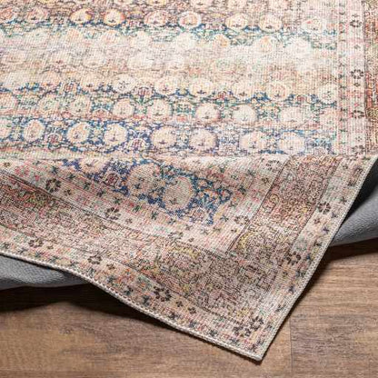 Boutique Rugs Rugs Rust Maligaya Distressed Washable Area Rug