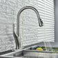 Kitchen Sink Faucet Pull Out Sprayer Brushed Nickel Mixer Tap With Deck Plate