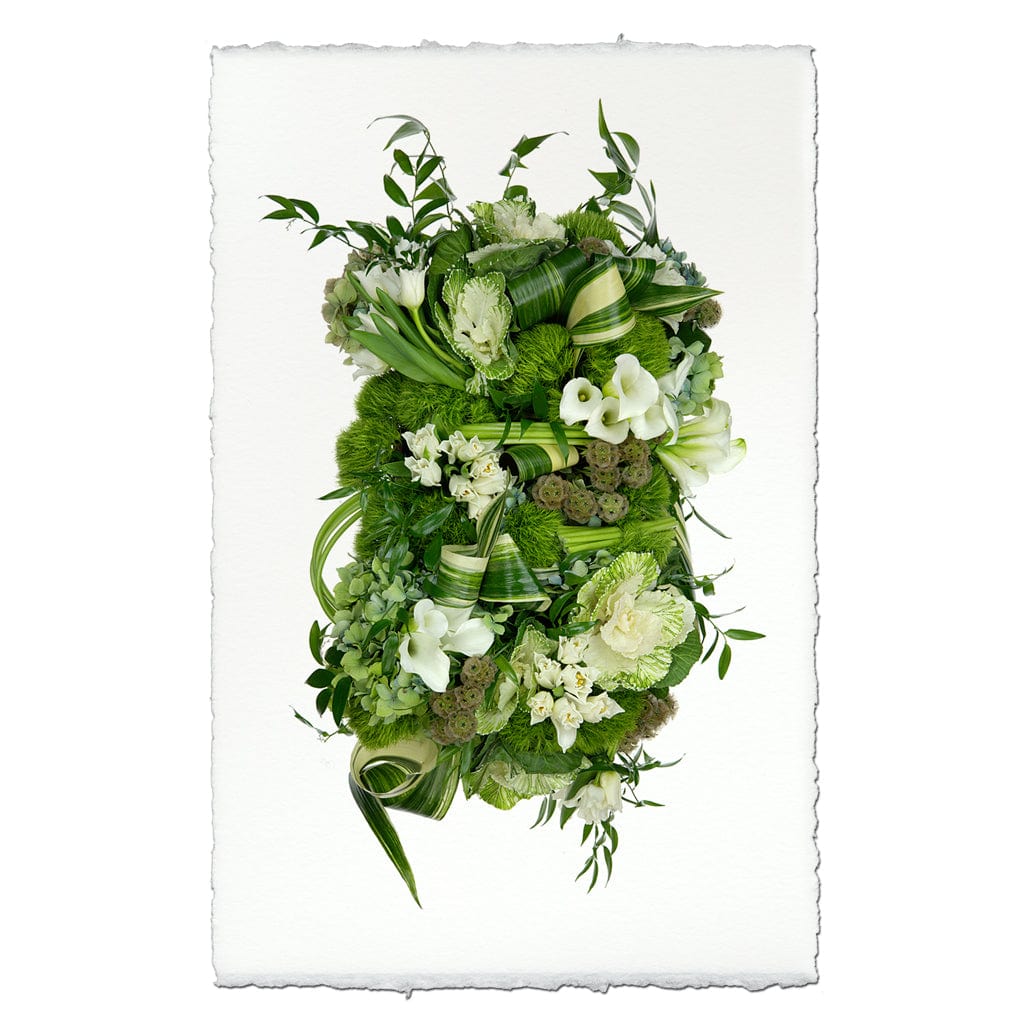 BARLOGA STUDIOS- fine photographs on intriguing papers succulent Green and White Collective Floral