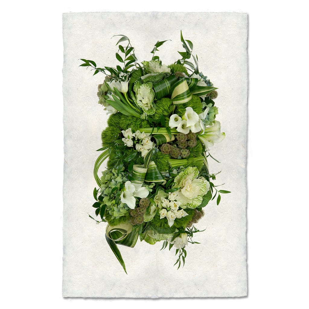 BARLOGA STUDIOS- fine photographs on intriguing papers succulent Green and White Collective Floral