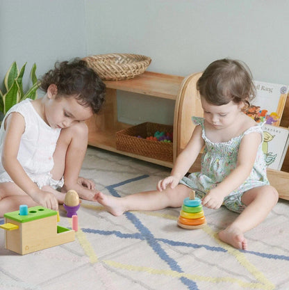 Tiny Land Toys & Games Tiny Land® Montessori Toys Set for Infants (10-12 month)