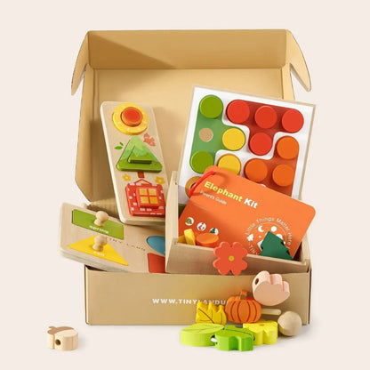 Tiny Land wooden toys Tiny Land® Montessori Toys for Toddlers (19-24month)