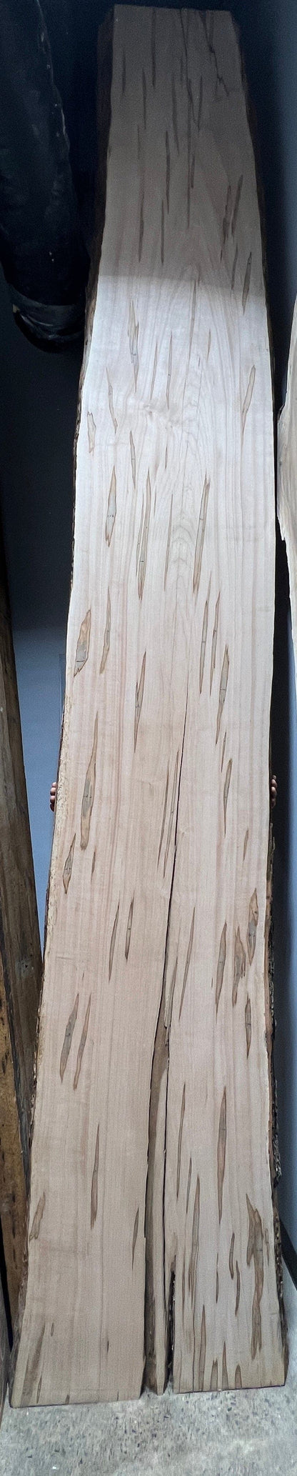 The Carpentry Shop Co., LLC 149" Ambrosia Maple Wood Slab