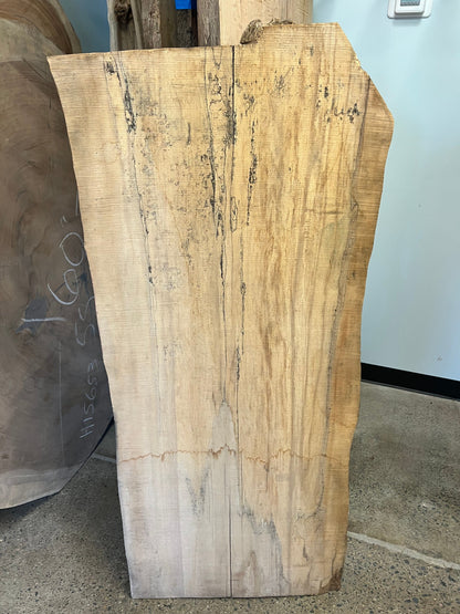 The Carpentry Shop Co., LLC 55" Spalted Maple Slab