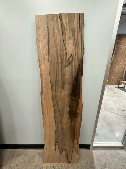 The Carpentry Shop Co., LLC 73" Spalted Sugar Maple